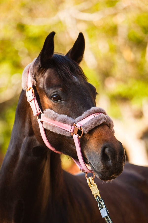 Royal Equestrian Fur Halter Pink Full