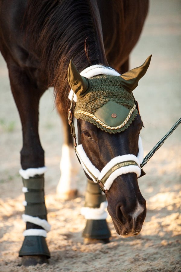 Royal Equestrian Lined Brushing Boots Olive