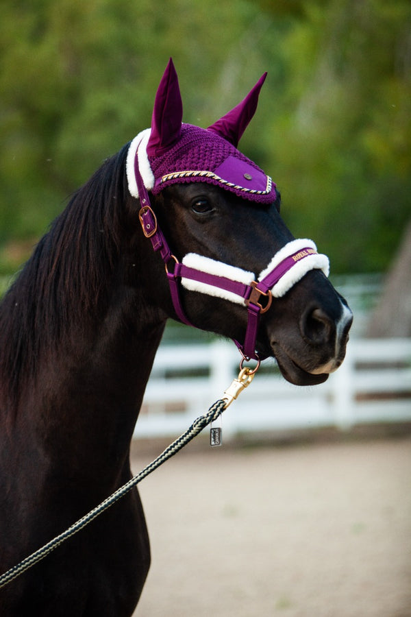 Royal Equestrian Premium Ear Bonnet Purple Navy Full