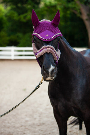 Royal Equestrian Premium Ear Bonnet Purple Navy Full