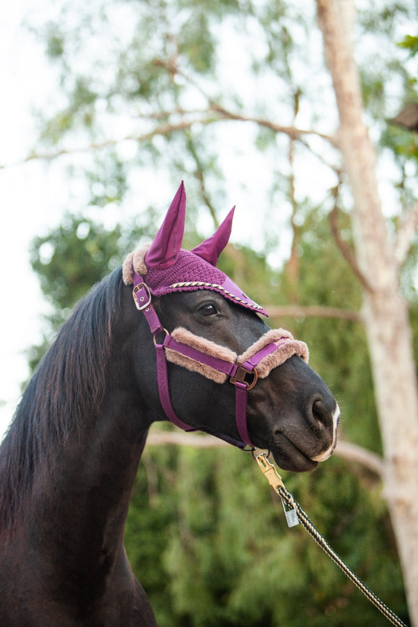 Royal Equestrian Premium Ear Bonnet Purple Black Full