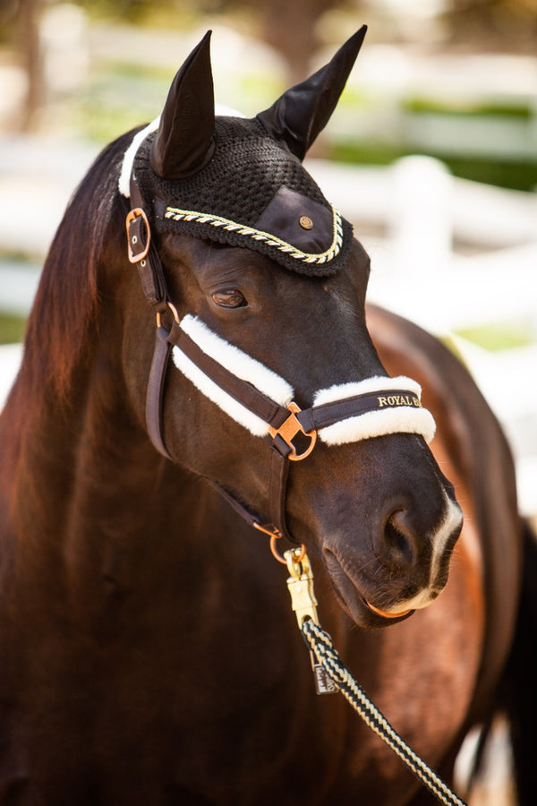 Royal Equestrian Premium Ear Bonnet Black Gold Full