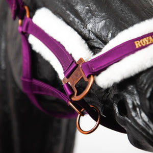 Royal Equestrian Fur Halter Purple White Full